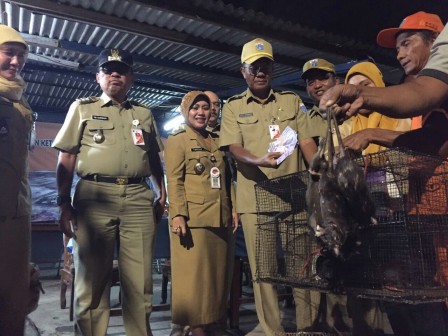 Puluhan Tikus Dimusnahkan di Cilandak Barat