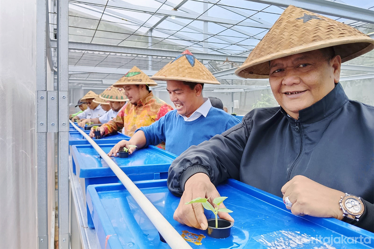 Penyemaian tanaman melon di Greenhouse Poktan Geber Tabur, Cipinang Melayu