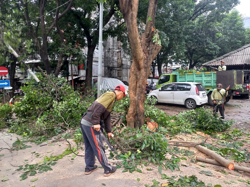 20 Pohon di Rusun Bidara Cina Ditoping
