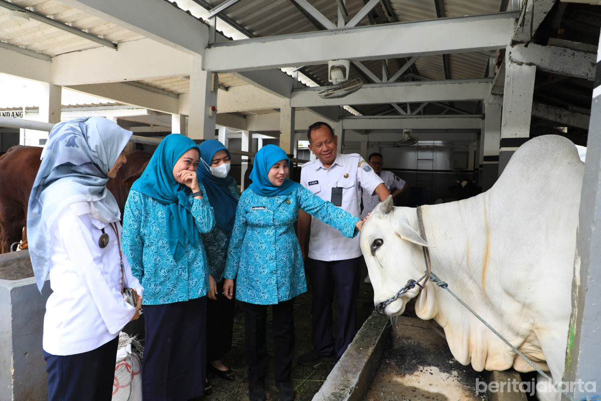 Ketua TP PKK Jaksel Pastikan Kelurahan Cikoko Siap Hadapi Lomba GKSTTB 