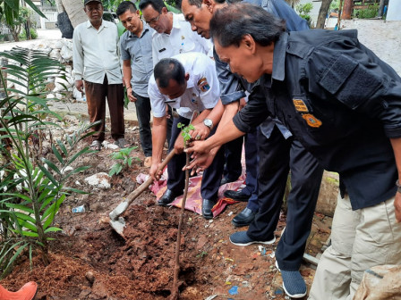 Pohon Kedoya di Tanam di Kelurahan Kedoya Utara