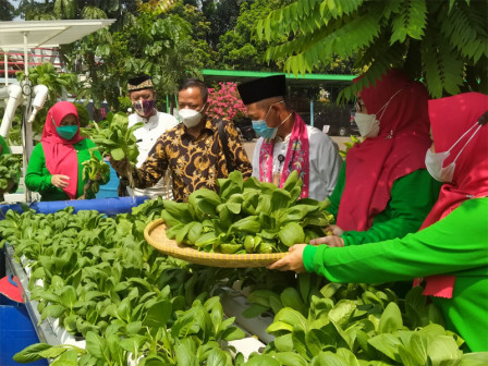  PKK Ciracas Panen Sayur 20 Kilogram 