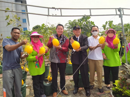  200 Melon Dipanen di Rooftop Kantor Wali Kota Jaktim 
