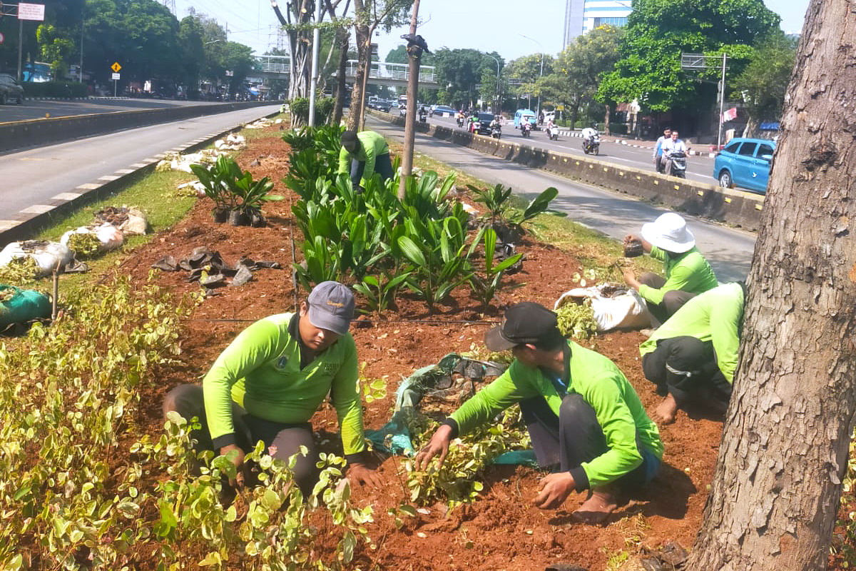 Sejumlah petugas menanam tanaman hias di jalur hijau Jl Mayjen Sutoyo