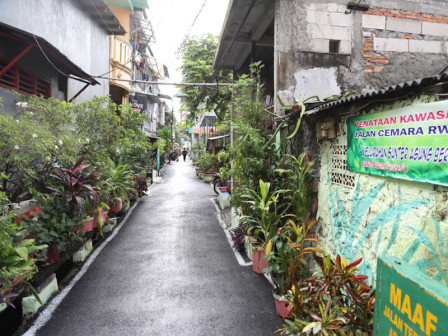 Penataan Wilayah Di Jalan Cemara Sunter Agung Rampung