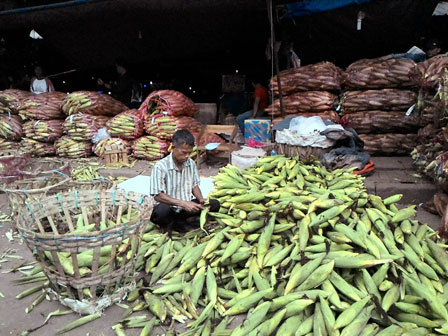  Jelang Malam Tahun Baru, Permintaan Jagung Melonjak