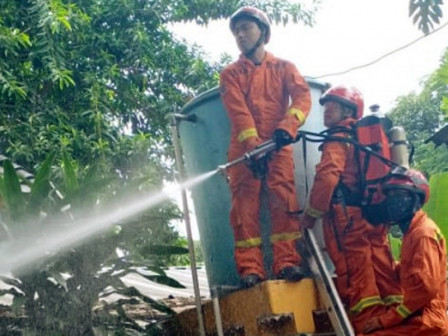 Hama Ulat Bulu di RPTRA Seruni Jati Padang Dibasmi Petugas