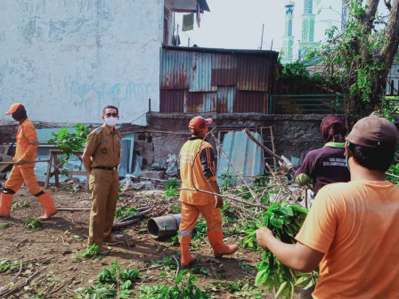 Petugas Gabungan Pangkas Dua Pohon Angsana di Sukapura