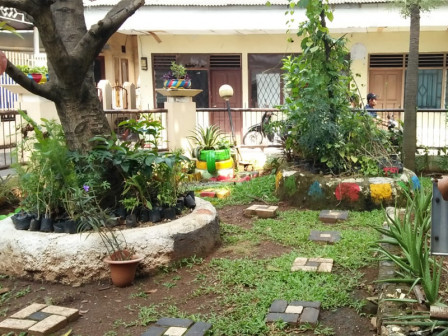 Kantor Kelurahan Kebon Pala Lakukan Pembibitan Tanaman Hias