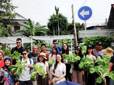 Belasan Pemuda Mancanegara Pelajari Urban Farming di Jakarta