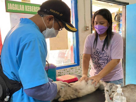 66 HPR di Kelurahan Petojo Selatan Telah Divaksin Rabies