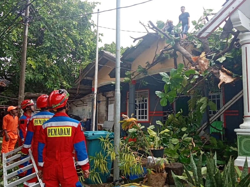 Petugas Gabungan dan Warga Bersihkan Dampak Angin Kencang di Pulau Sabira