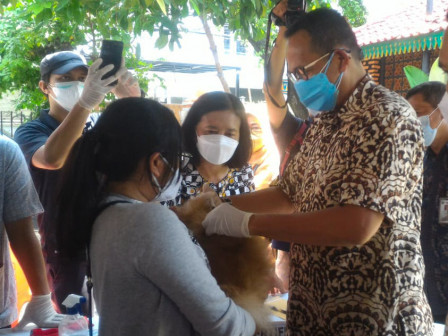  174 HPR Disuntik Vaksin Rabies di Kelurahan Tebet Barat 