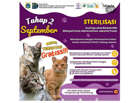 Sudin KPKPJakpus - PDHI DKI Gelar Layanan Sterilisasi Kucing 