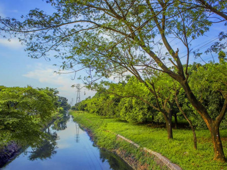  Ratusan Pohon Lindung Ditanam di Hutan Kota Milik PT JIEP