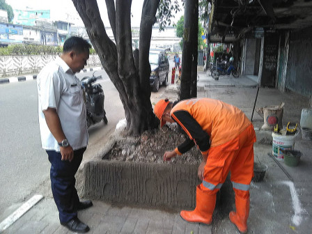 Pot Tanaman Rusak di Kelurahan Bungur Mulai Dilakukan Penataan