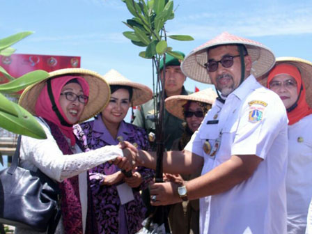  20 Ribu Pohon Mangrove Ditanam di Pulau Pramuka 