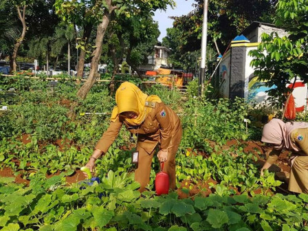 Kelurahan Cipinang Cempedak Galakkan Program Penghijauan