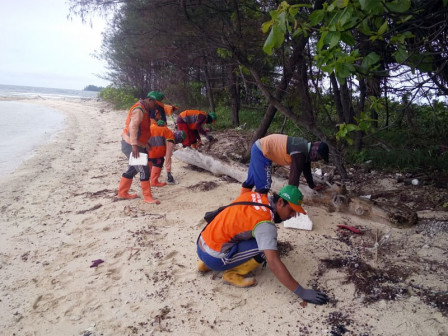 Petugas LH Bersihkan Limbah Minyak di Pulau Jukung