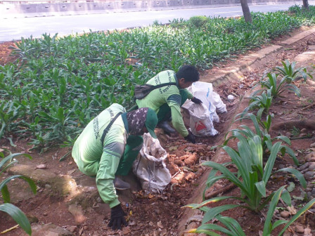 Tujuh Personel Pertamanan dan PPSU Bersihkan Taman di Jalan Tengkunya Arif 