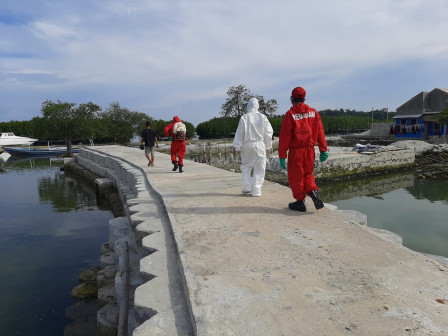 Petugas Gulkarmat Disinfeksi Sapras di Dermaga Utama Pulau Kelapa