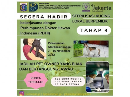 Sudin KPKP Jakpus Akan Gelar Sterilisasi Kucing Tahap IV