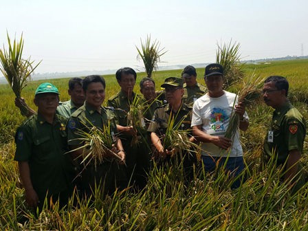 Petani Rorotan Siap Memasuki Masa Tanam Padi