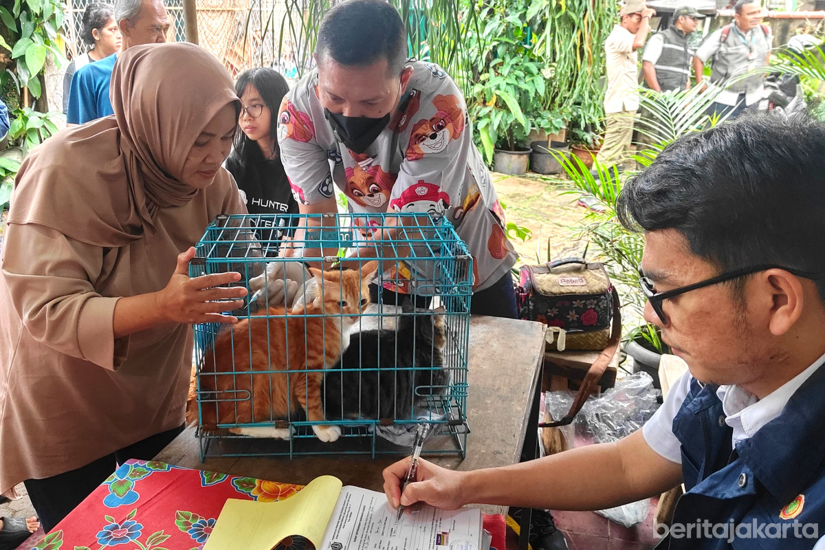 Petugas memberikan vaksinasi rabies pada hewan kucing di Kelurahan Ulujami