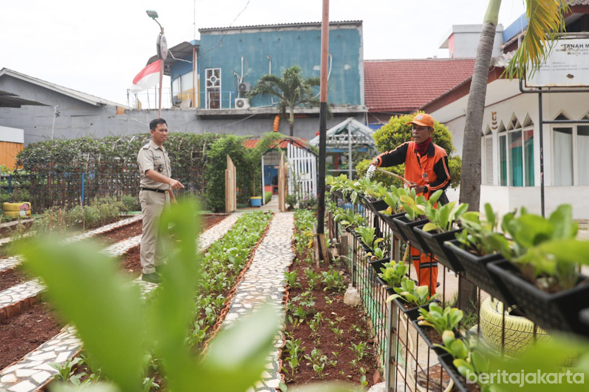 Kelurahan Marunda Sulap Lahan Tidur Jadi Taman Oranye 