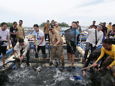 Wagub Panen dan Tebar Benih Ikan di Kepulauan Seribu