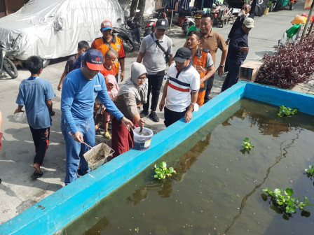 Kelurahan Pademangan Timur Panen 8 Kilogram Lele Sangkuriang 