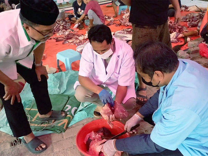  Sudin KPKP Jaktim Berhasil Periksa 5.964 Hewan Kurban