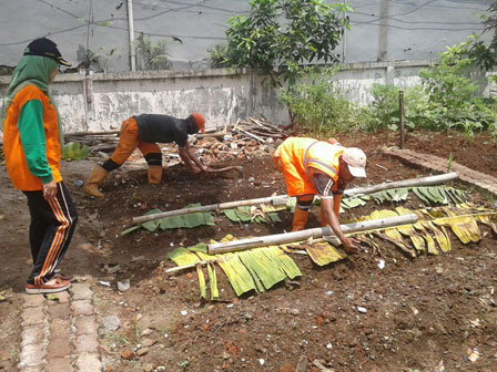  Pemanfaatan Lahan Kosong Disulap Jadi Urban Farming 