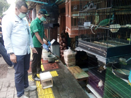 Sudin KPKP Jaksel Lakukan Biosekuriti di Pasar Burung Barito
