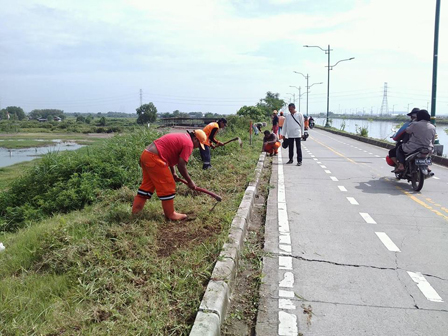 Rumput Liar dan Sampah Sepanjang Jl Inspeksi BKT Dibersihkan