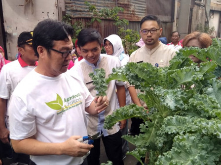 Mewujudkan Jakarta Semakin Hijau dan Menjaga Ketahanan Pangan Lewat Urban Farming