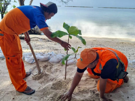 Ratusan Pohon Ditanam di Taman Cinta Pulau Tidung