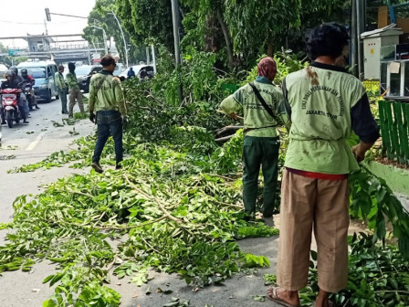  15 Pohon di Jl Bekasi Barat Ditoping