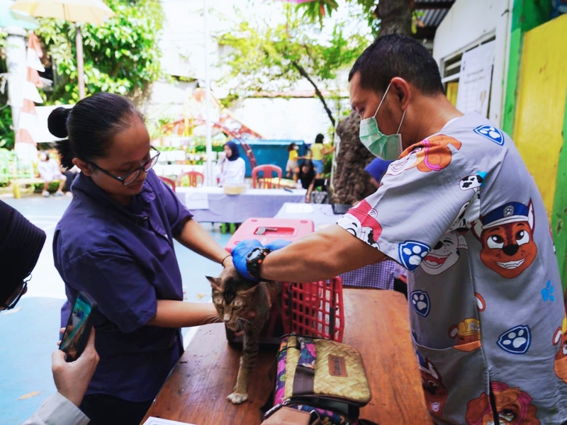148 HPR di Manggarai Selatan Berhasil Divaksinasi Rabies