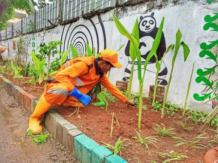 Lahan Kosong Jalan Nangka IV Ditata Dengan Tanaman
