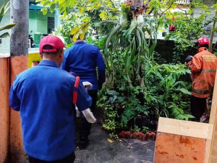 Petugas Berhasil Evakuasi Hewan Liar di Pulau Tidung