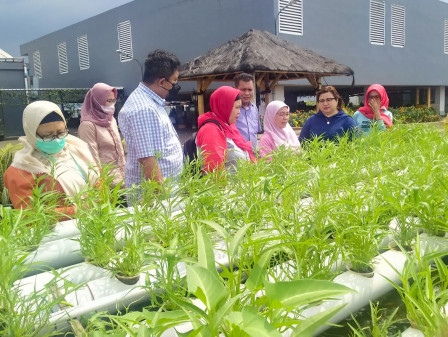 Dinas KPKP DKI Dorong Rooftop Ciplas Jatinreara jadi Area Agro Eduwisata