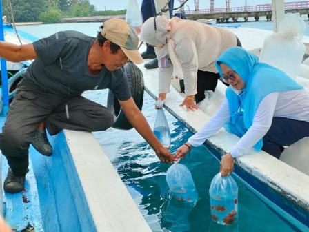 Restocking Ratusan Benih Ikan di Pulau Tidung Besar