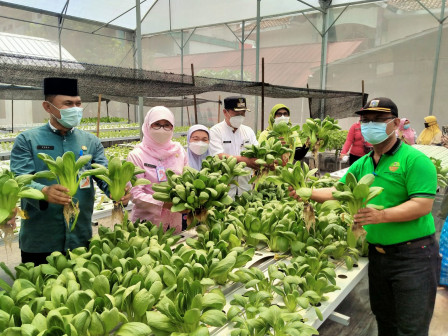 Kadis KPKP DKI Lakukan Pembinaan Urban Farming di Ponpes Ulul Ilmi Munjul 