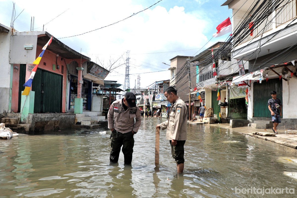 Petugas BPBD melakukan pemantauan ketinggian banjir rob