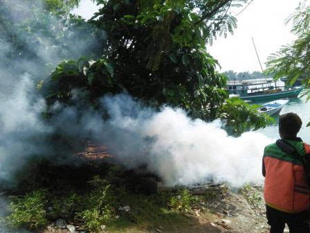 Tempat Pembuangan Sampah di Pulau Kelapa Difogging 