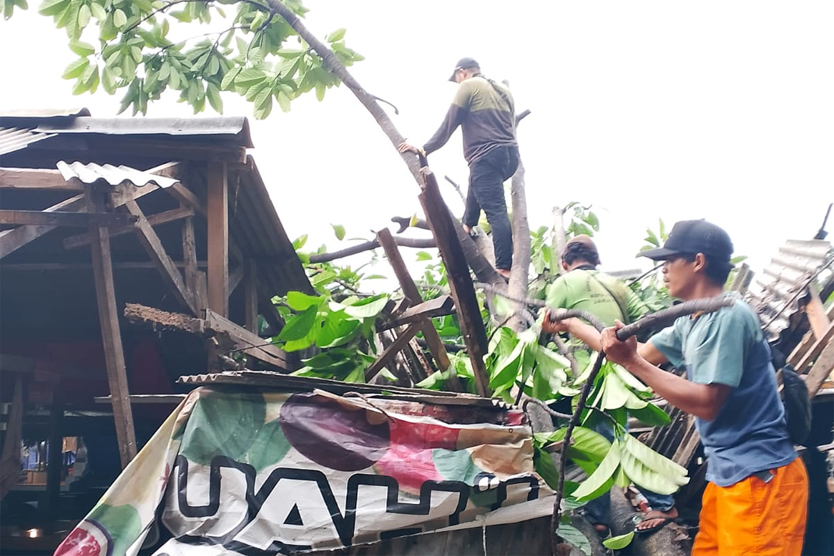 Petugas gabungan mengevakuasi pohon sempal di Jakarta Timur