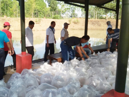 Dinas KPKP Siapkan Pembenihan dan Pendistribusian Benih Ikan