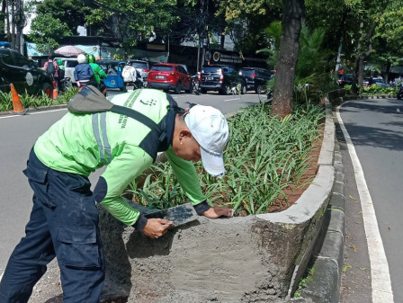 Penatan Jalur Hijau di Jalan Raden Patah Capai 50 Persen 