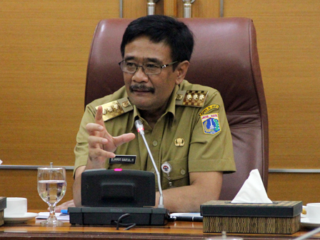 Angin Kencang, Djarot Minta Pohon Besar dan Baliho Diperhatikan